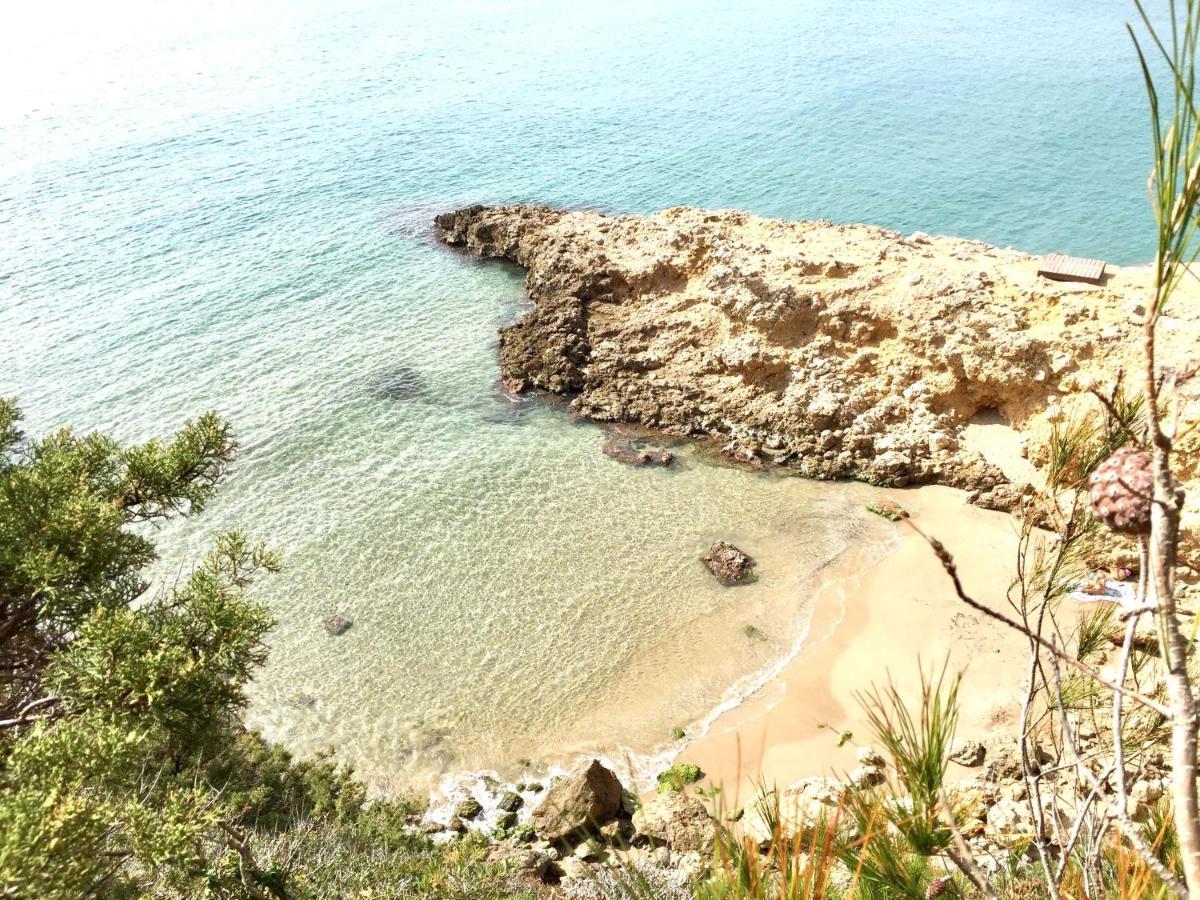 Synergie Si01 - Ideal Para Descansar Salou Bagian luar foto
